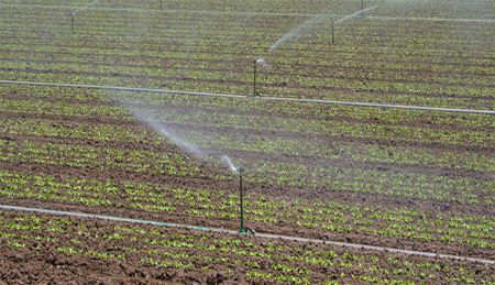 California Groundwater Protection Regulations [2026]